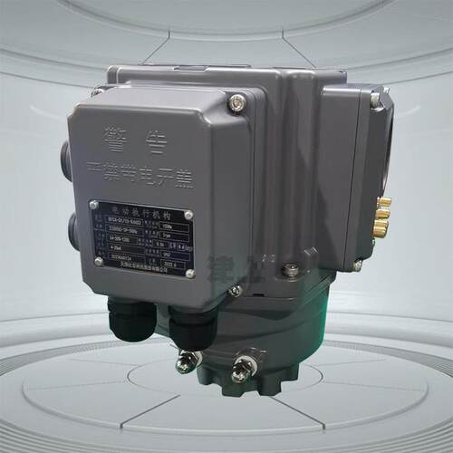 伯纳德CA-Q2/30CA-Q2/40水泥厂用智能直联式电动执行机构