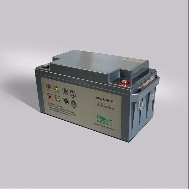 APC施耐德蓄电池M2AL-12V65AH100AH38AH120AH铅酸UPS电源EPS应急