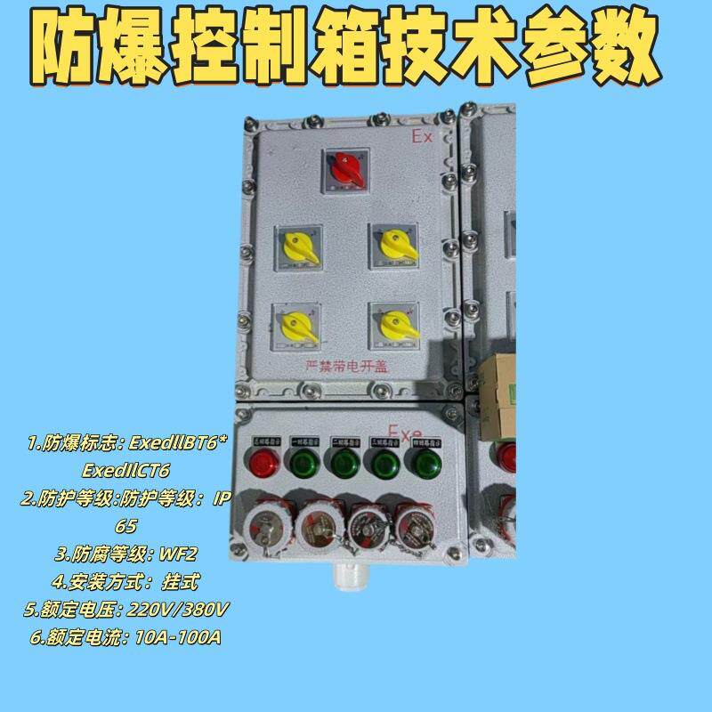 应急照明集中电源防爆箱 防爆控制箱 防爆接线箱 防爆配电箱 浙创