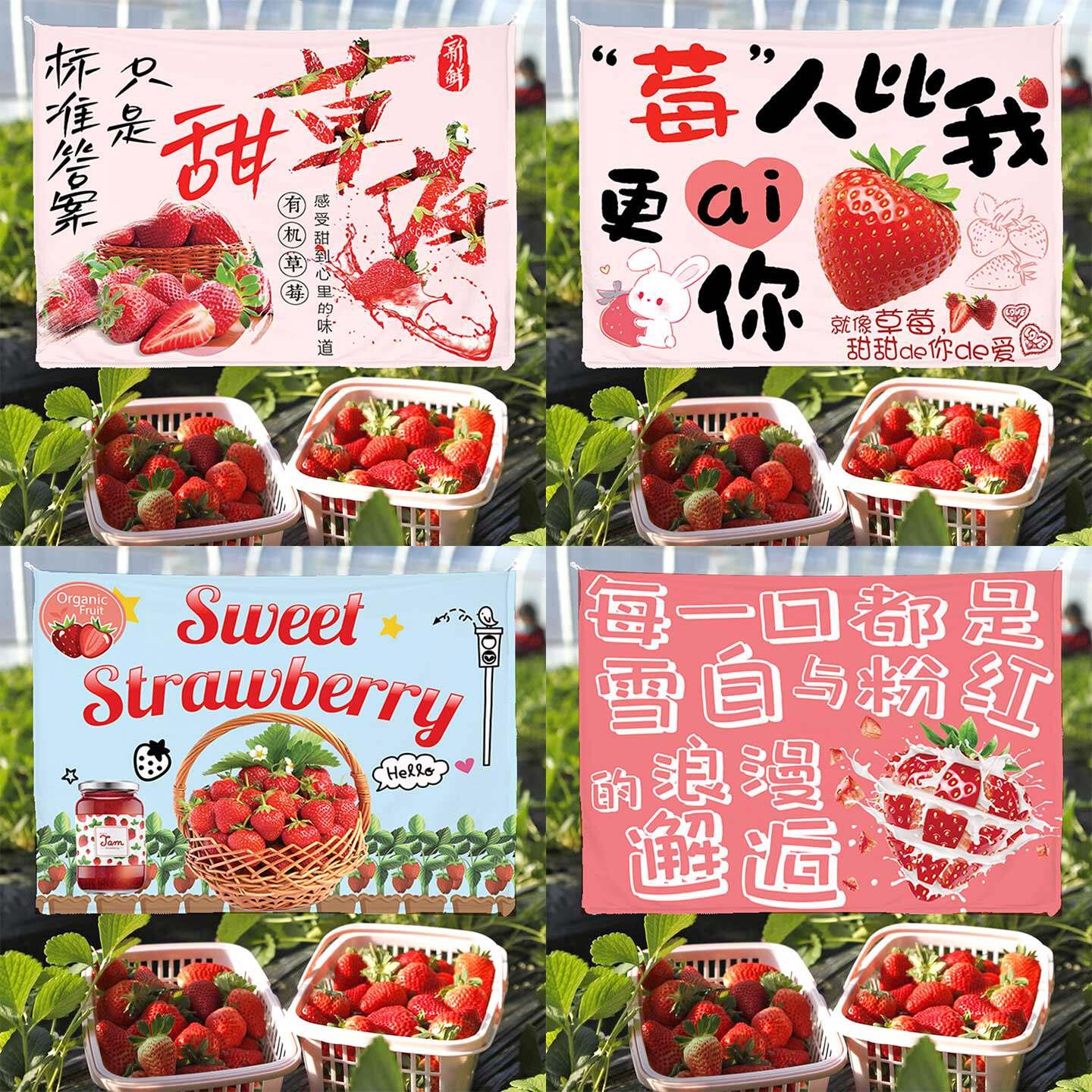 采摘草莓大棚宣传招牌背景布挂布广告布采摘园直销零售农场背景墙