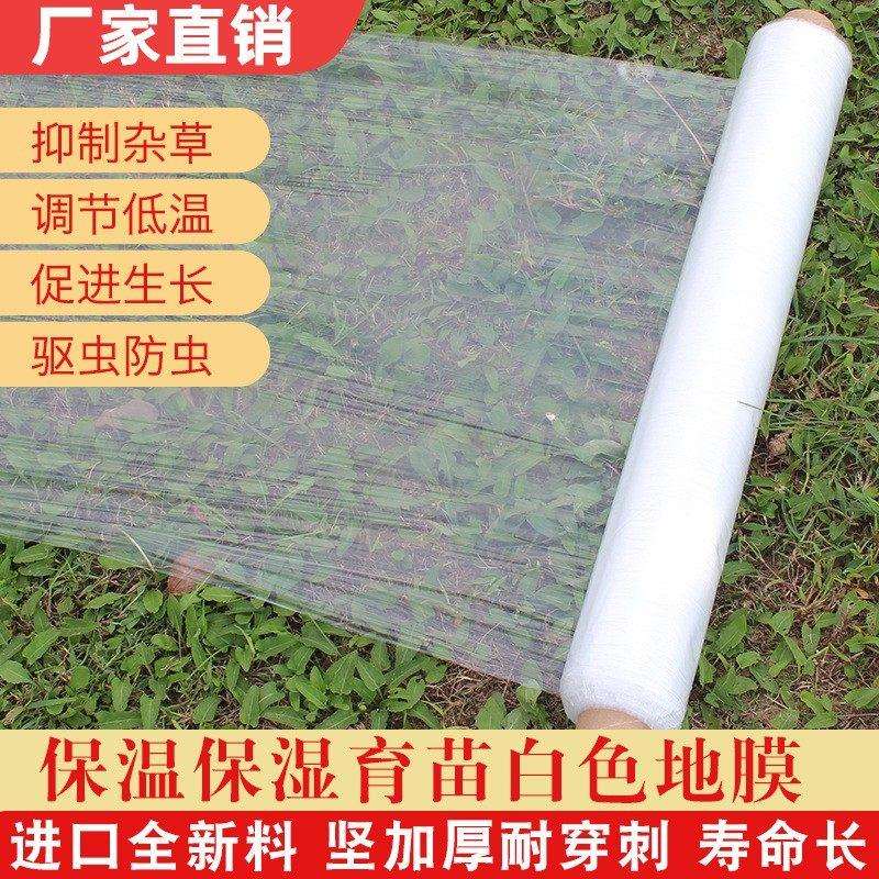 防草种植地地膜草莓专用种菜农用种甘蔗玉米花生辣椒西瓜薄膜蔬菜