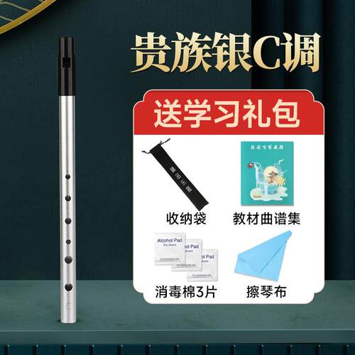 正品爱孔调尔兰哨C调D初学笛子儿童笛成人专业演奏金属直笛六直笛