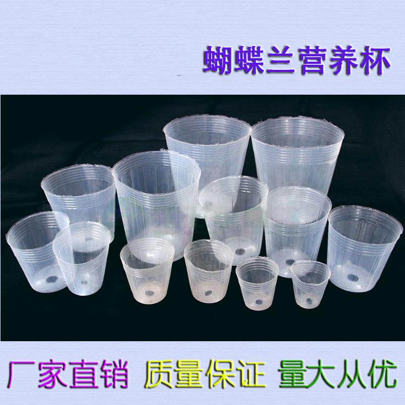 白色透明塑料蝴蝶兰石斛营养杯营养钵花盆 育苗袋塑料杯 厂家