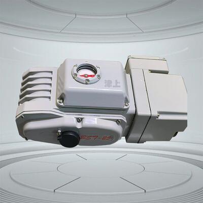 伯纳德DQ-600NBQ-600DL-600自控电动智能一体化执行器