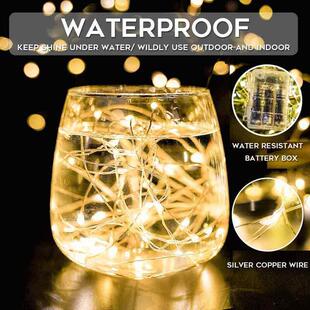 Battery Operated Light Fairy Wire Lights Copper LED Remote