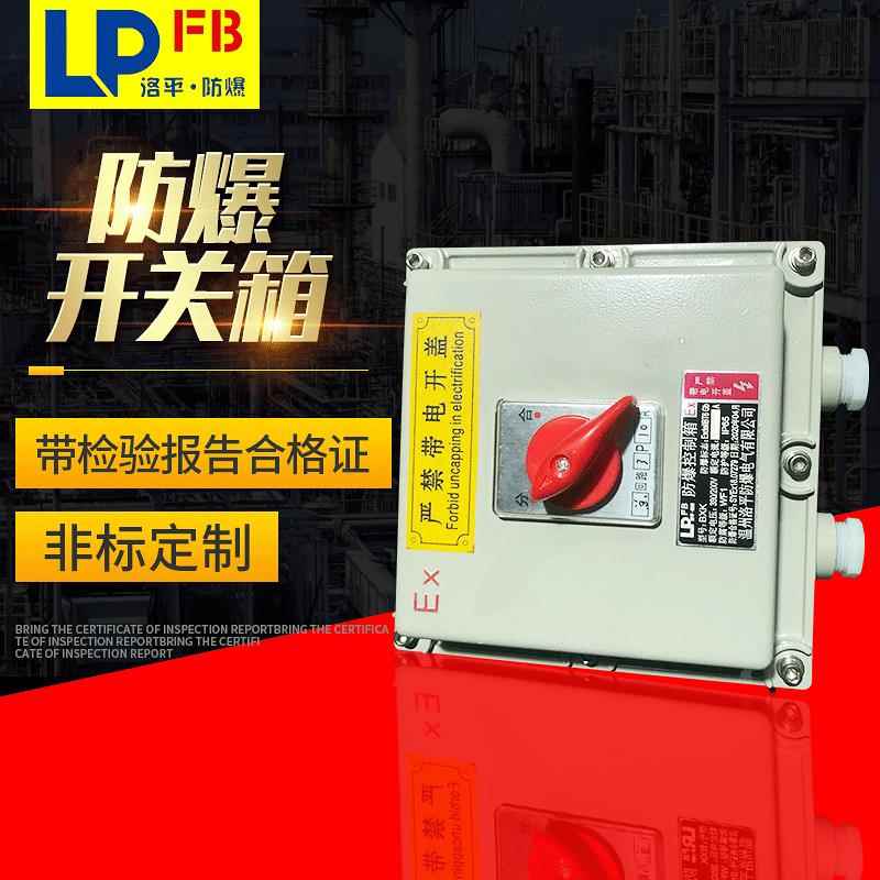 IICT4防爆断路器 10A漏电开关箱 粉尘防爆断路器型号价格厂家