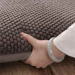 025LBI款 新宽边保暖玫瑰绒2床垫人床垫家用双人床单垫学生宿 冬季