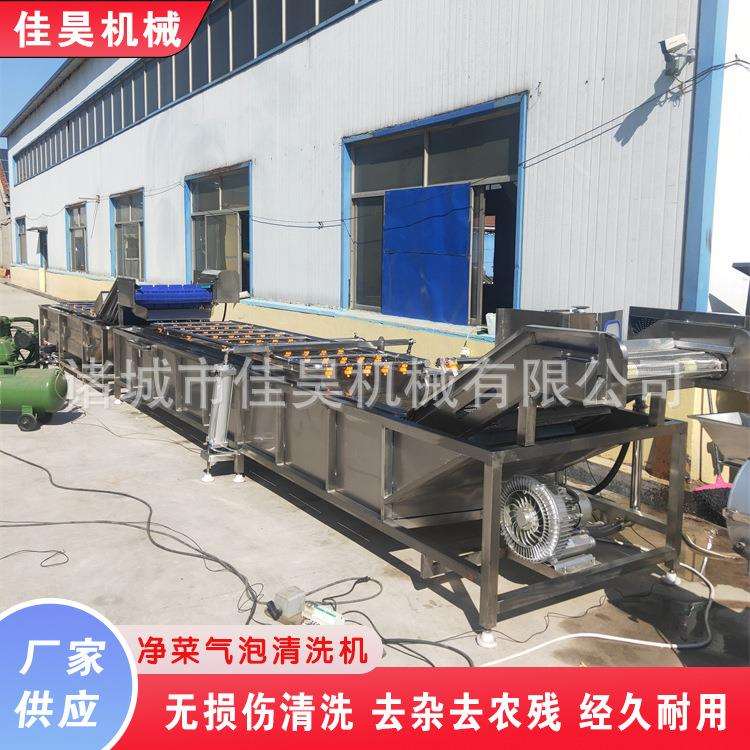 小龙虾清洗机叶菜鼓泡清洗机全自动净菜水果蔬菜气泡清洗机设备