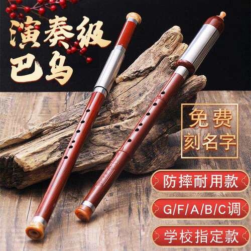 巴乌演奏树脂竖吹彷红木c调b调g调f调小学生成人初学横吹巴乌乐器