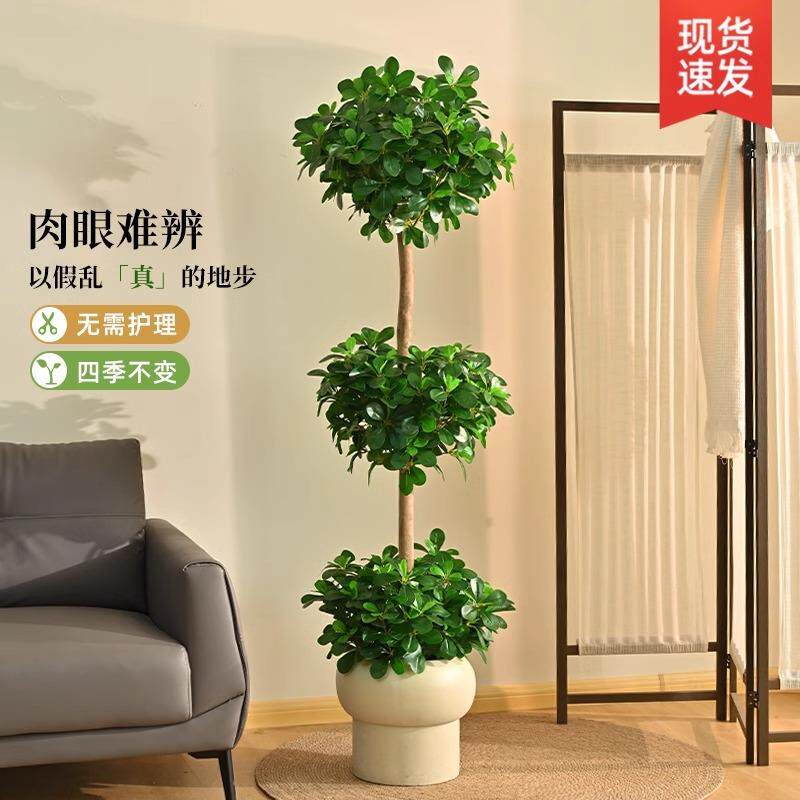 仿真植物金钱树落地盆栽室内大型仿生绿植摆件直播间轻奢装饰花