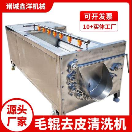 自动洗生蚝机硬毛辊去泥清洗生蚝设备不锈钢喷淋洗生蚝XY-0032