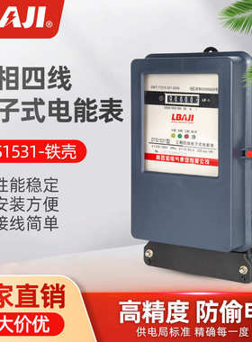 利百加DTS1531铁壳型三相四线有功电能表 电子式电能表三相仪表