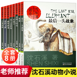 沈石溪动物小说全集正版套装画本第一辑8册的书大全系列儿童文学 最后一头战象小学生四五六年级课外阅读书籍必读经典书目斑羚飞渡