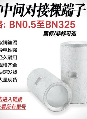 BN1.25/5.5/14/22/38/100中间裸接头冷压接线端子 对接端头连接管