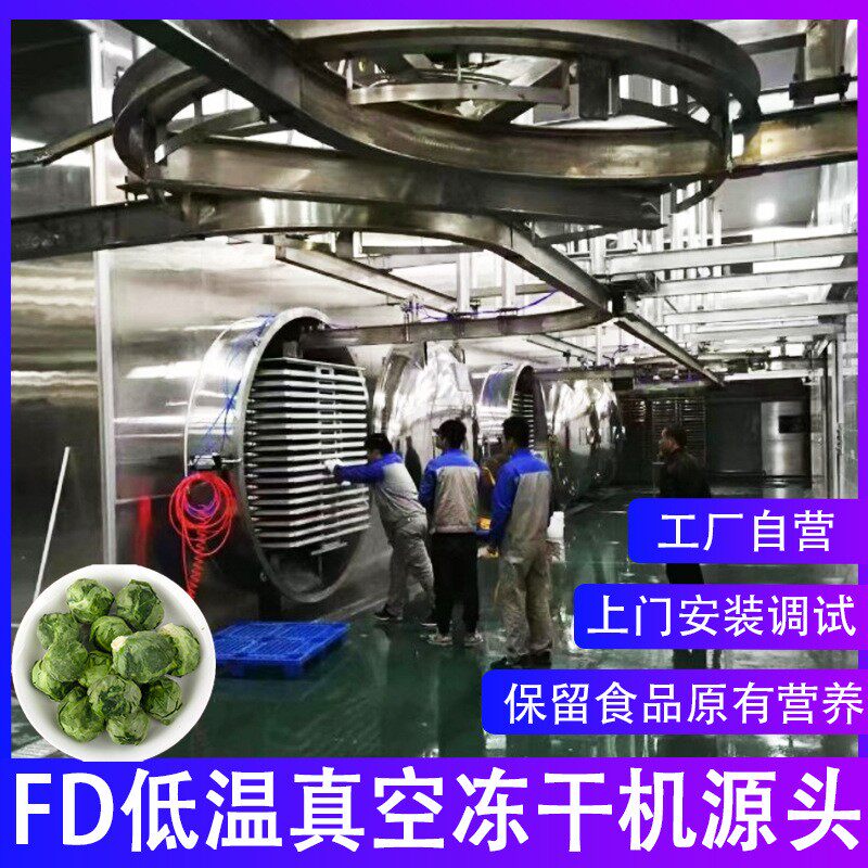 冻干孢子甘蓝FD低温式冻干机 120平水果蔬果榴莲丁真空冷冻干燥机