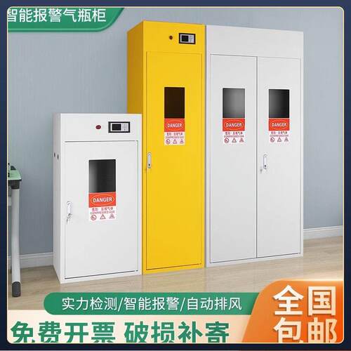 工业防爆气柜安全柜实验室双煤气乙炔氮气氢气体钢储存柜