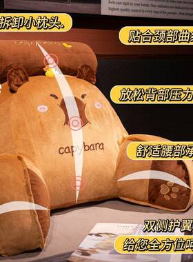 卡皮巴拉床头靠宿垫软包护靠大靠背沙发抱枕舍学生床腰EXJ上枕躺
