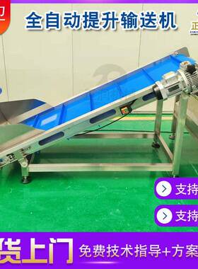 加工定制水果提升机 果蔬加工厂水果输送机 蔬菜流水线输送设备