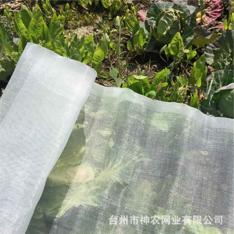 供跨境园艺品质防尘尼龙网纱窗网防虫网单独套袋包装防蚊网