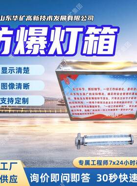 矿用本安型LED灯箱维护简单耐潮DHS26/12L(B)矿用本安型LED灯箱