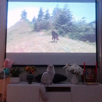 惊讶！极米投影仪怎么样，看我心酸选购史