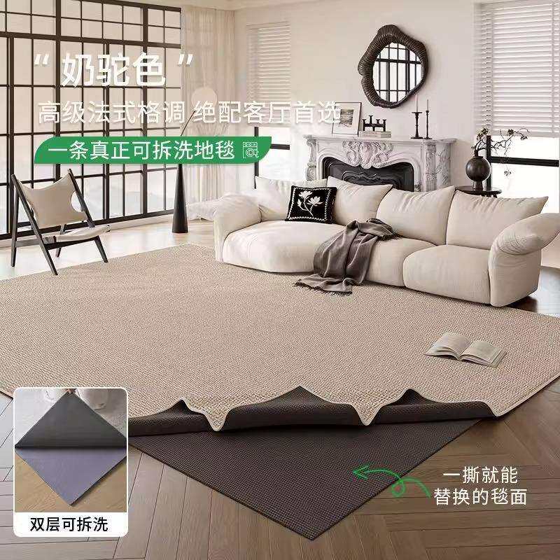 可机洗地毯新款客厅双层可拆洗水洗纯色沙发卧室雪尼尔家用地垫