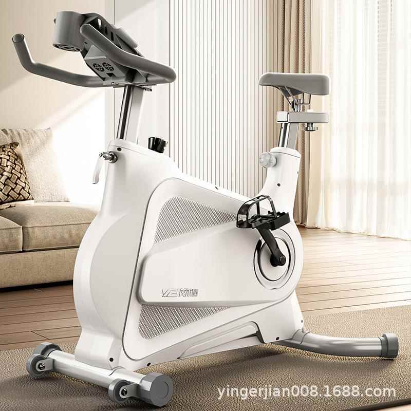 摆件磁控智能动感单车家用室内健身车健身房器材减肥超静音运动球