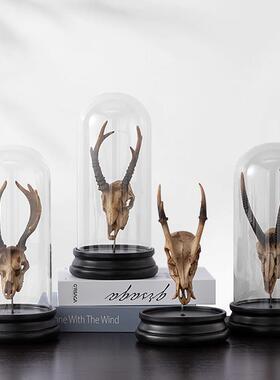 简约现代动物骨化石骨骼摆件创意个性家居客厅酒柜办公室装饰品