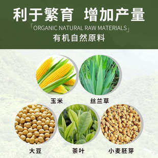 海豚发色龟粮增色火焰龟红面蛋龟剃刀龟饲料黄缘龟金钱半水幼龟粮