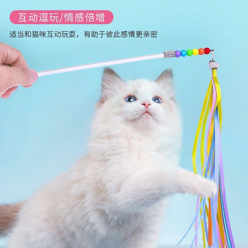可替换彩虹流苏仙女宠物智能玩具