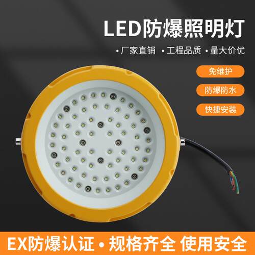 隔爆型三防灯led地雷灯BAD85-710LED防爆灯工厂库房车库灯 应急灯