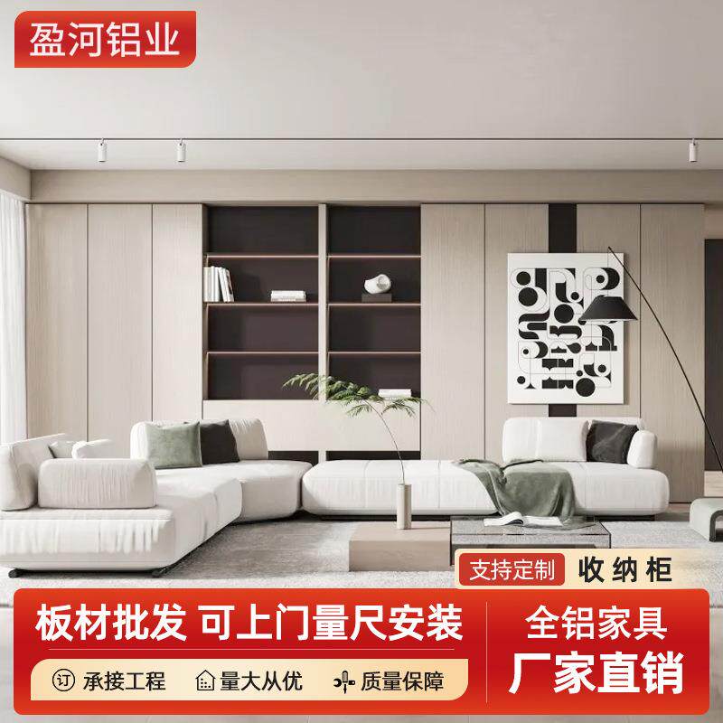 轻奢极简家用一门到顶客厅靠墙隔断收纳储物一体组合铝合金衣柜定