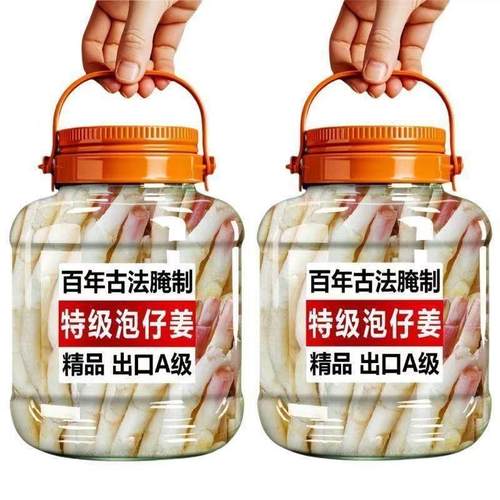 四川泡菜嫩仔姜泡姜嫩农家正宗自制坛泡800g瓶装四川特产泡椒母水