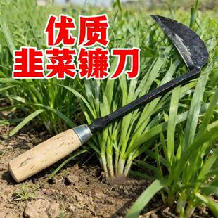 高锰钢小镰刀割韭菜专用小号割刀挖野菜蔬菜刀老式锄草家用锄刀款