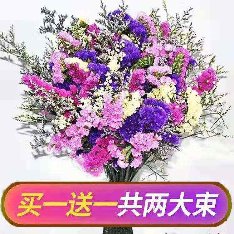 干花高级感真花干花云南干花天然风干真花云南干花花束勿忘我满天