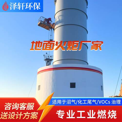 工业大型地面火炬厂家环保型废气焚烧设备 油田/炼化尾气处理火炬