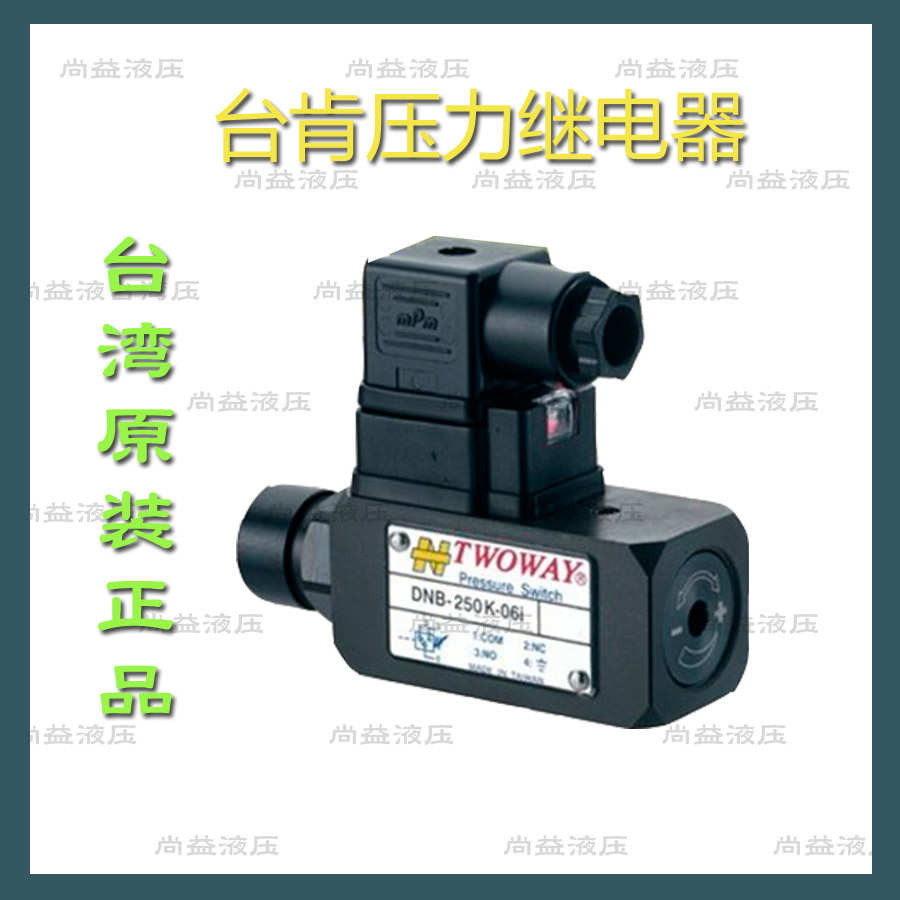 TWOWAY台肯压力继电器 DNB-250K-06I DNB-150K-22B 040K 070K