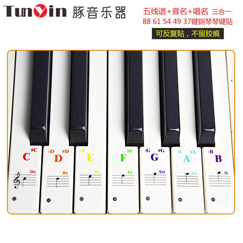 88/61/54/49/3732键钢琴透明贴纸电子琴键盘手卷琴简谱音阶贴