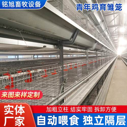 青年鸡育雏笼厂家雏鸡笼专业育雏设备阶梯式加粗分层蛋鸡笼肉鸡笼