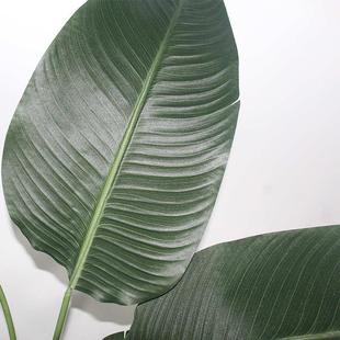仿真绿植旅人蕉仿真绿植盆栽室内大型仿生客厅摆件假花摆设轻奢风