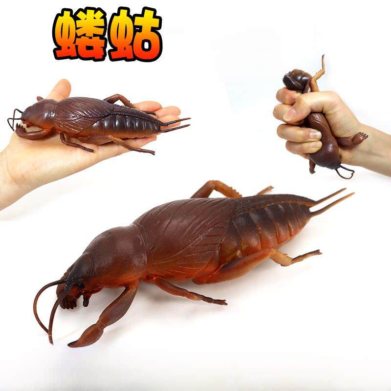 软胶仿真硅胶蝼蛄解压玩具柔软土狗昆虫苍蝇模型捏捏蜗牛儿童礼物