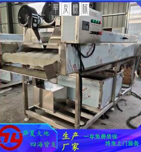 商用黄桃干清洗机预制菜萝卜平行毛刷清洗机整机304不锈钢制作