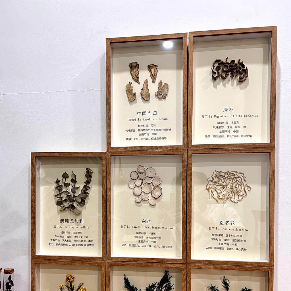 纯手工植物标本DIY装饰画芳香疗愈手作店铺定制墙面挂画标本装饰