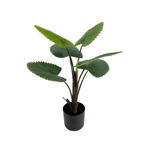 仿真商贸棕榈树盆栽植物盆景家居装饰工艺品圆叶轴榈仿真绿植装饰