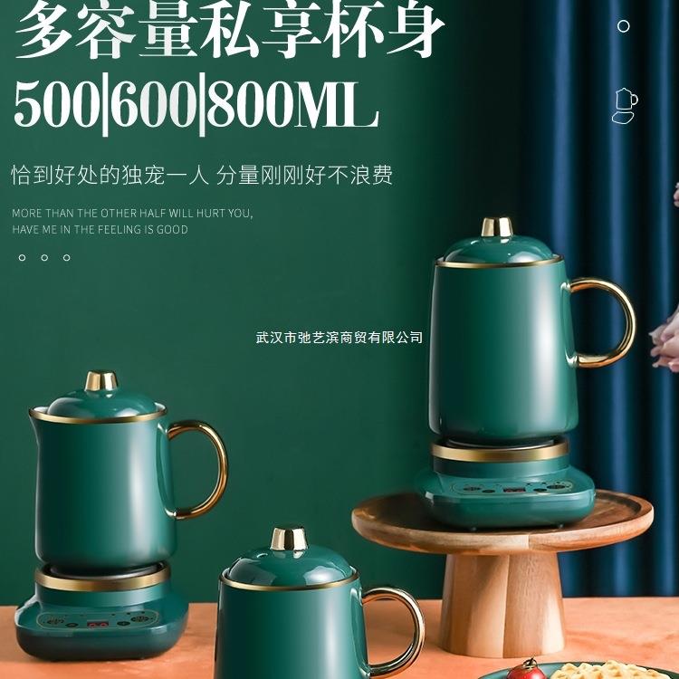 煮茶器多功办公室生小能型电茶全玻璃炉花茶养壶迷你SY-02小茶炉