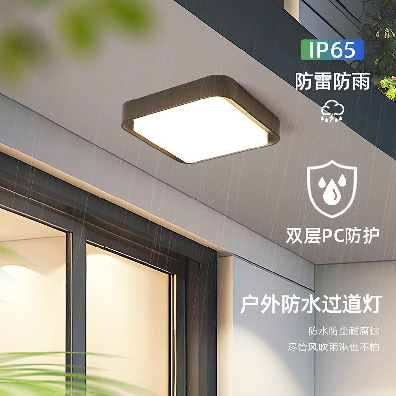 户外屋檐吸顶灯防水防虫防潮过道灯别墅大门庭院入户阳台照明灯