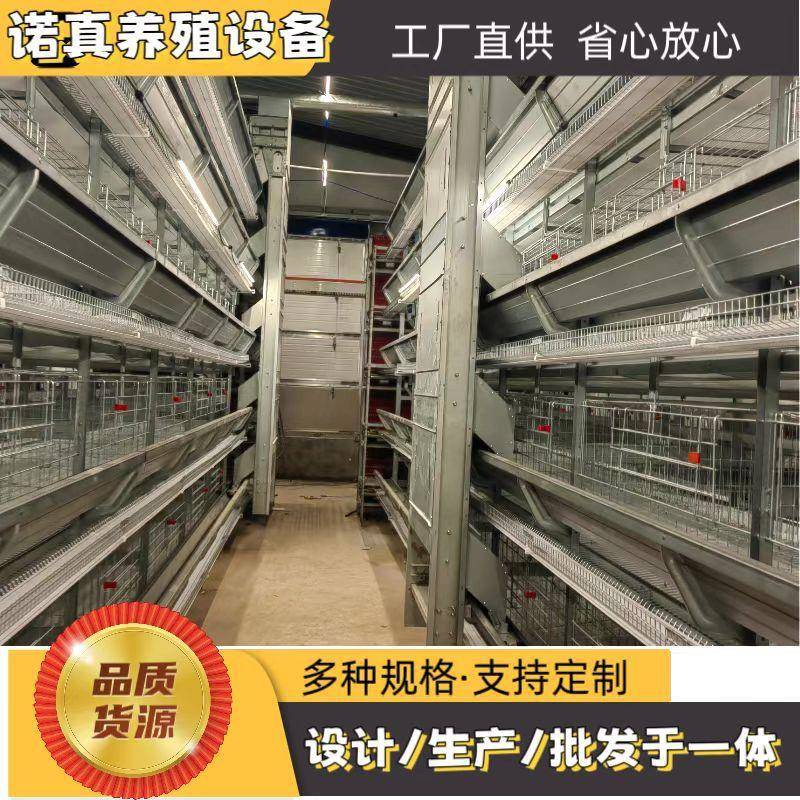 蛋鸡笼捡蛋机h型鸡笼层叠自动化蛋鸡养殖设备固定式升降式捡