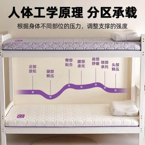 加厚乳胶床垫子家用软床yx202507垫卧室租褥打地铺榻榻米学生宿舍