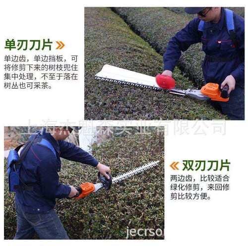 捍绿充电式无刷电动绿篱机背负式茶树修剪机大功率园林绿化篱笆剪