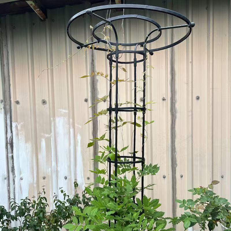 花架爬藤架铁线莲月季植物支撑杆庭院室内花盆植物攀爬架爬藤支架